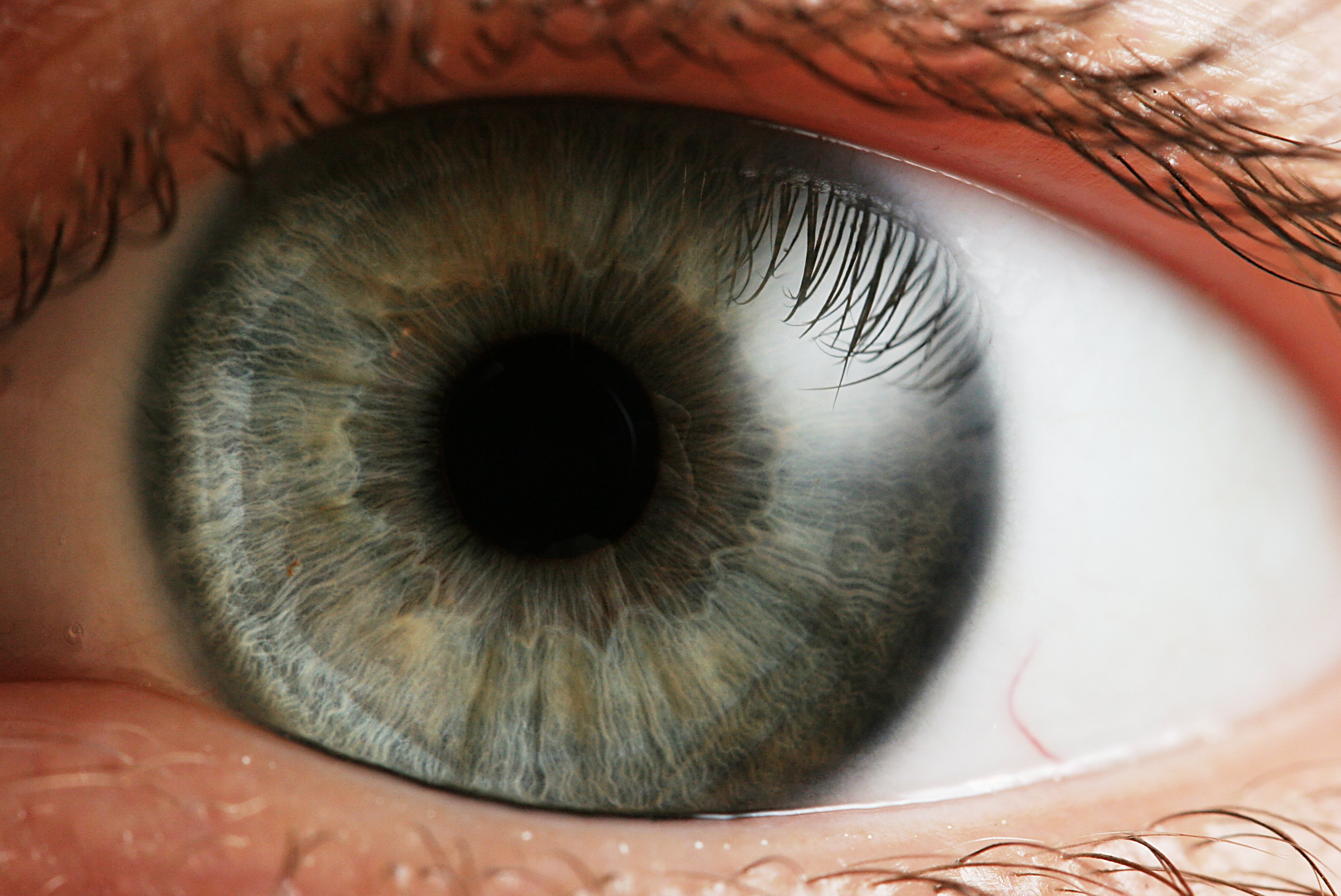Eyeprint Biometrics