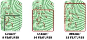 Study: Sensor Size Affects Fingerprint Biometrics Accuracy