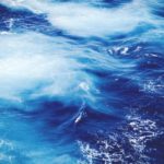 Maxine Most Warns About Rough Waters Ahead for Surging IDV Marketplace