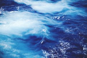 Maxine Most Warns About Rough Waters Ahead for Surging IDV Marketplace