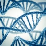 Ahead of DeepMind Summer School, Innovatrics Adds DNA to ABIS