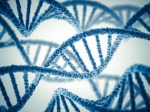 Verogen Guides Cellmark to DNA Sequencing Certification in the UK