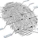 Touch Biometrix Announces Biggest, Thinnest Capacitive Fingerprint Sensor