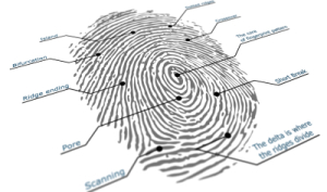 Biometrics News - Kaspersky Lab Shows Off Ring with Fake Fingerprint