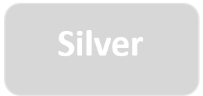 Silver Sponsor Button