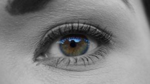 EyeVerify Boasts 2 Million Eyeprint ID Users